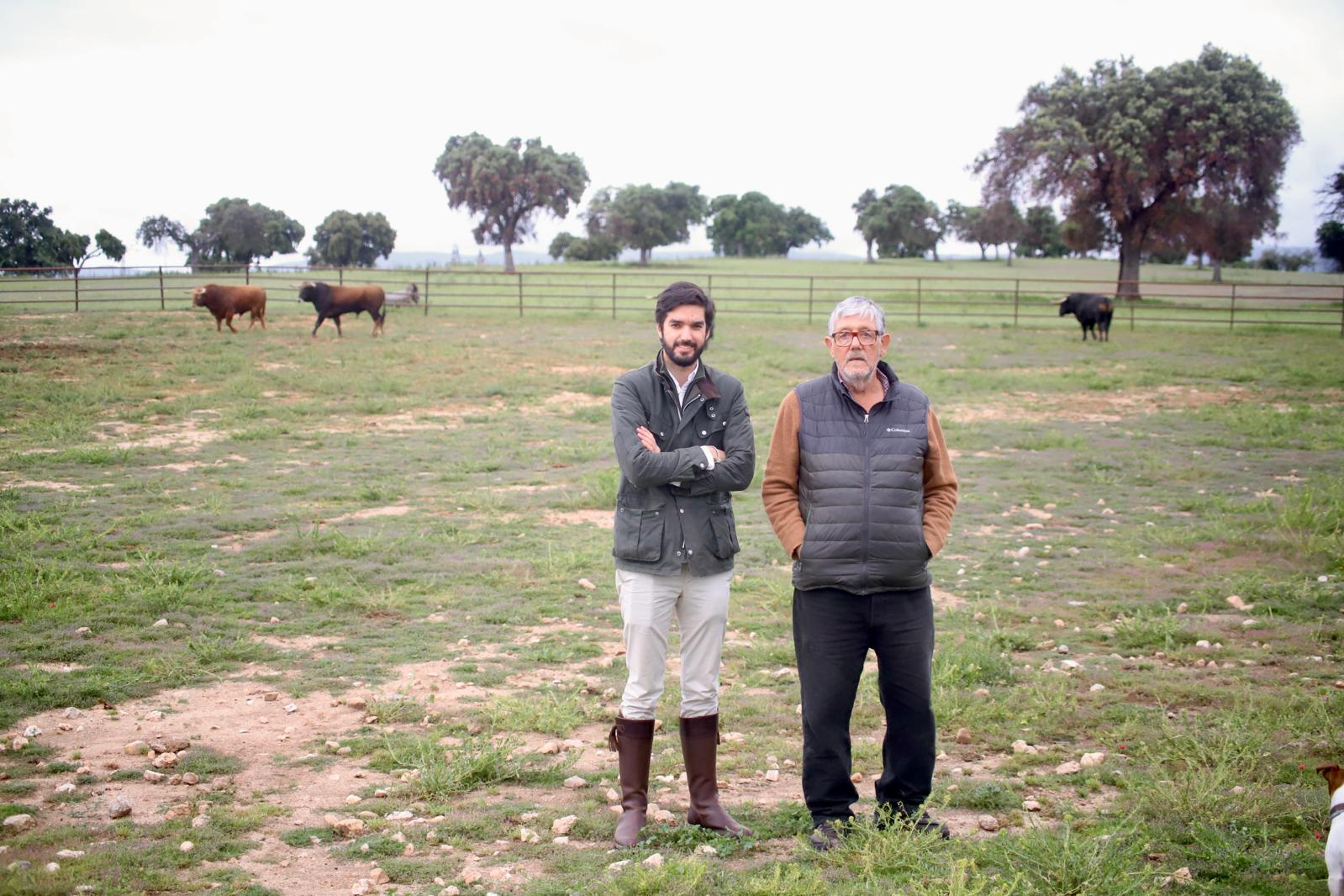 Bravo Toledano, una joya de las letras taurinas