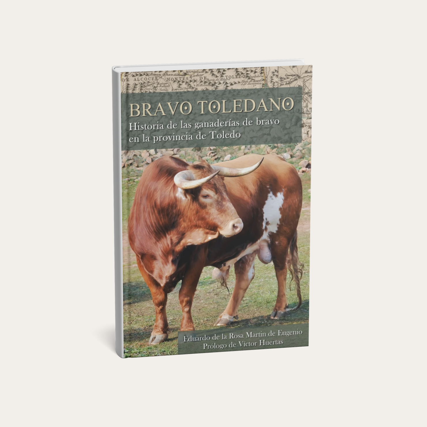 Libro Bravo Toledano